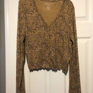 American Eagle Cardigan